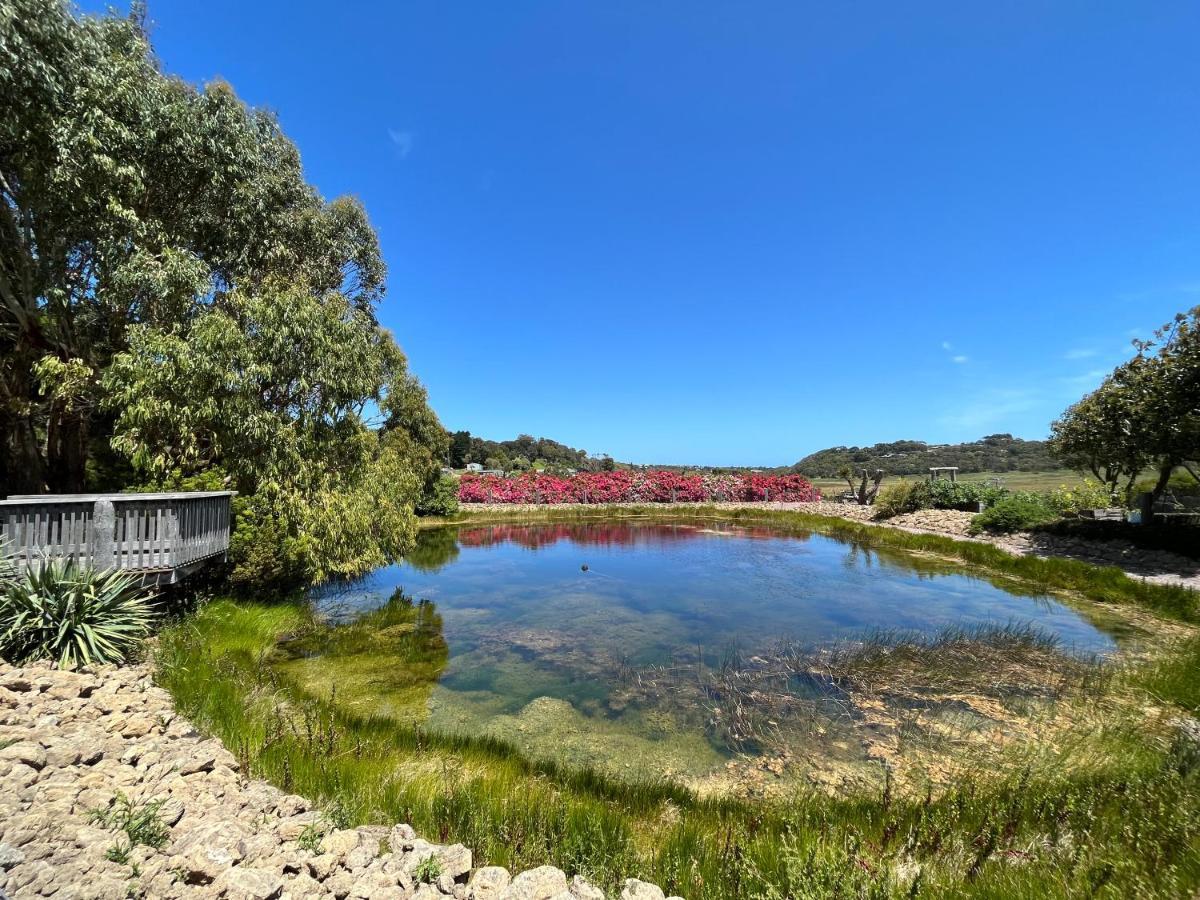 Daysy Hill Country Cottages Port Campbell Exteriér fotografie