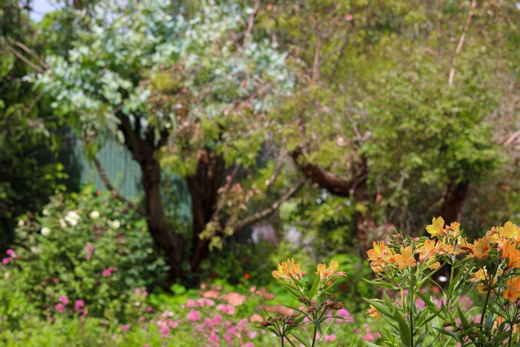 Daysy Hill Country Cottages Port Campbell Exteriér fotografie