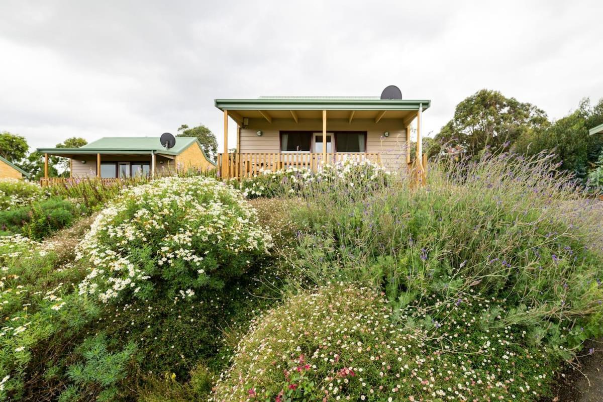 Daysy Hill Country Cottages Port Campbell Exteriér fotografie
