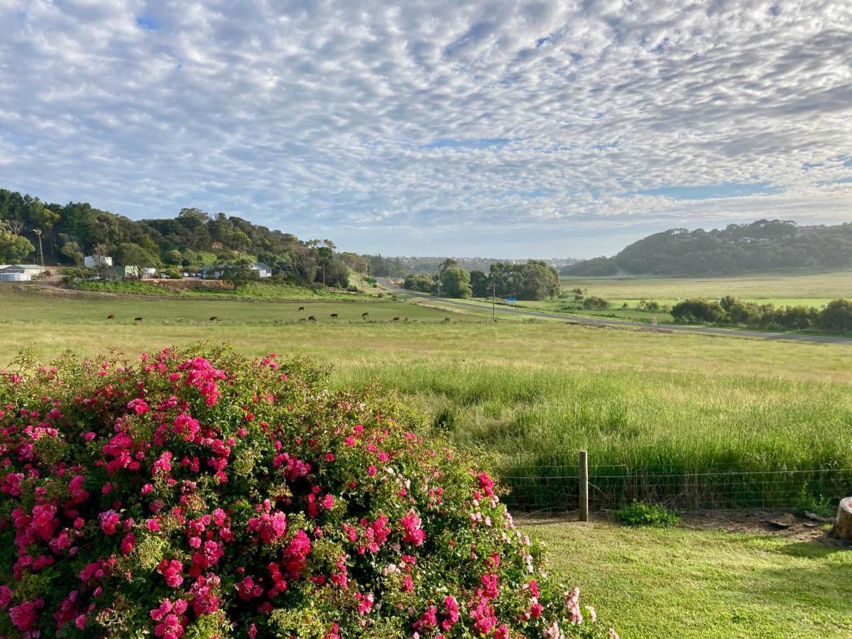 Daysy Hill Country Cottages Port Campbell Exteriér fotografie